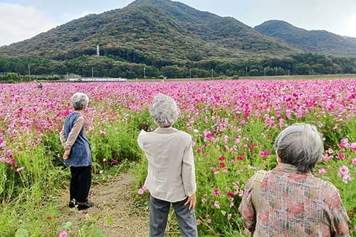 デイサービス サンライフ御立